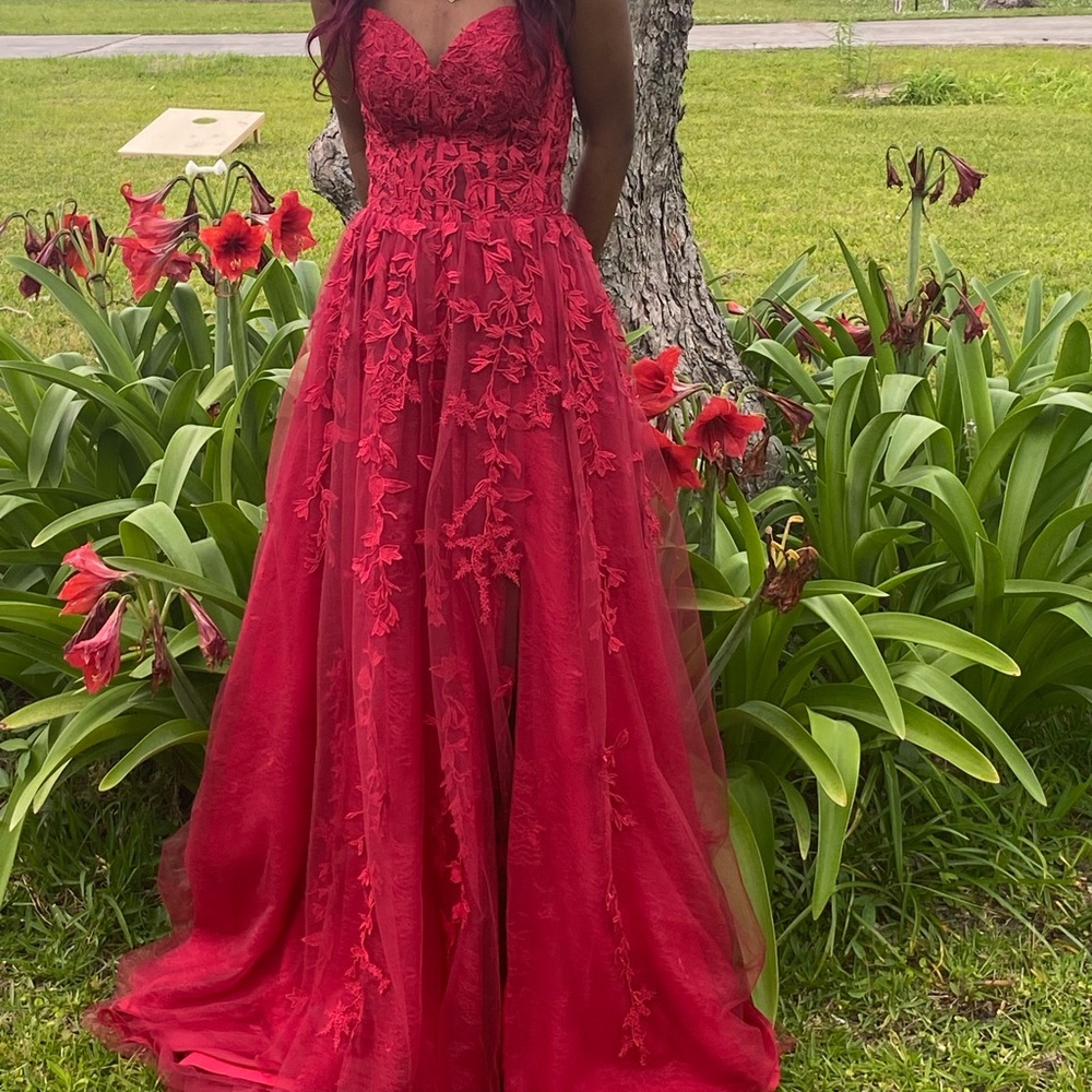 Red vine design prom/hoco court dress! Size 0!